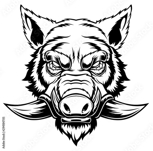 Wild boar head mascot.