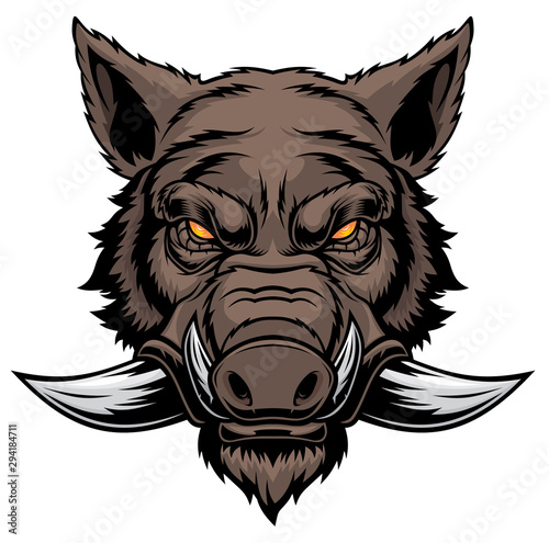 Wild boar head mascot.