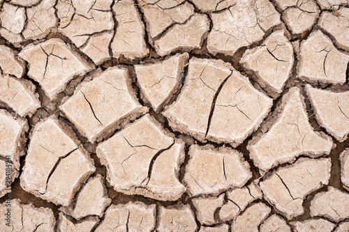 Cracked mud in drought conditions on the ground.