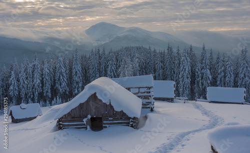 A magical winter in the Ukrainian Carpathian Mountains, on a snowy meadow with beautiful mountain lodges and spruce covered with snow, with beautiful views around © reme80