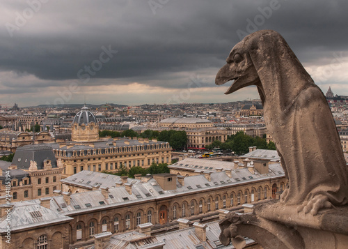 Paris skyline with gargoyle © R Kevin Collins