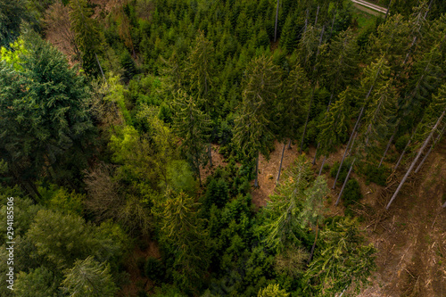 Aerial view, mixed forest from above, Odenwald, Hesse, Germany