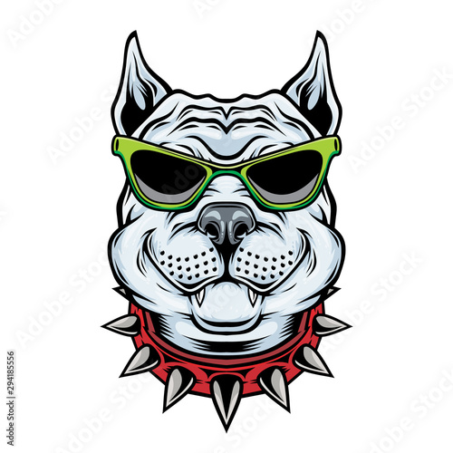 American Pitbull Terrier dog wearing sunglasses.