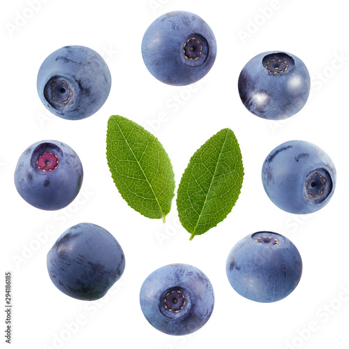blueberry leaves isolated on white background.