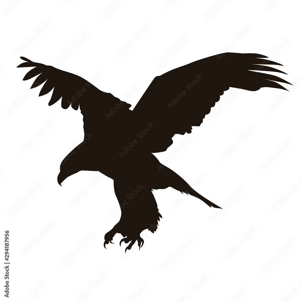 Obraz premium Eagle Silhouette
