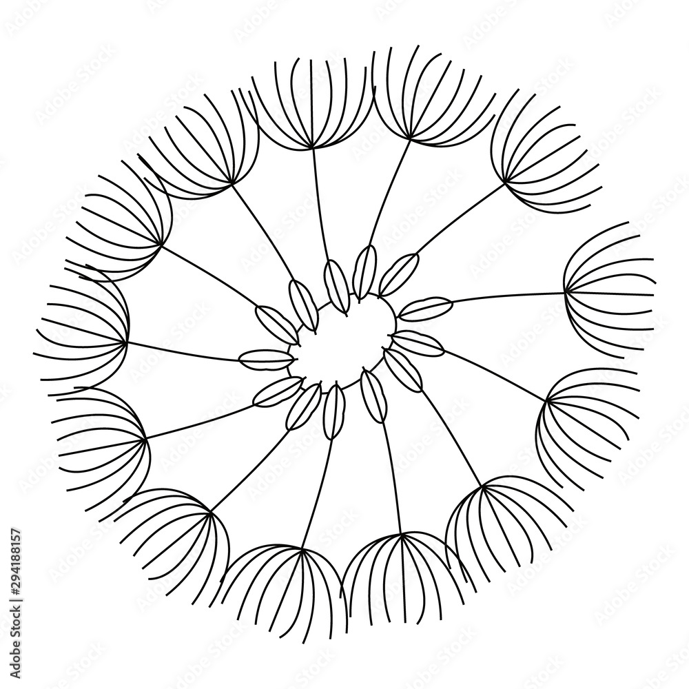 Obraz premium Vector isolated illustration of a single dandelion. Used black lines on a white background