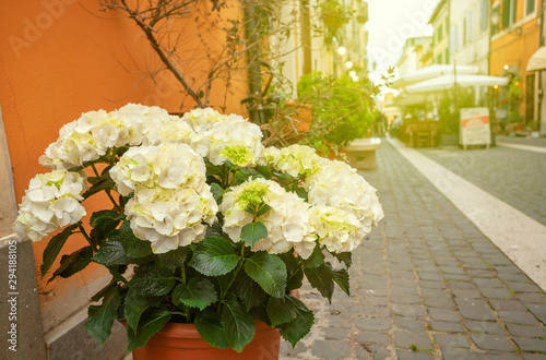 Old medieval streets of Rome, Italy. Exterior, architecture and landmark of ancient streets in Rome.