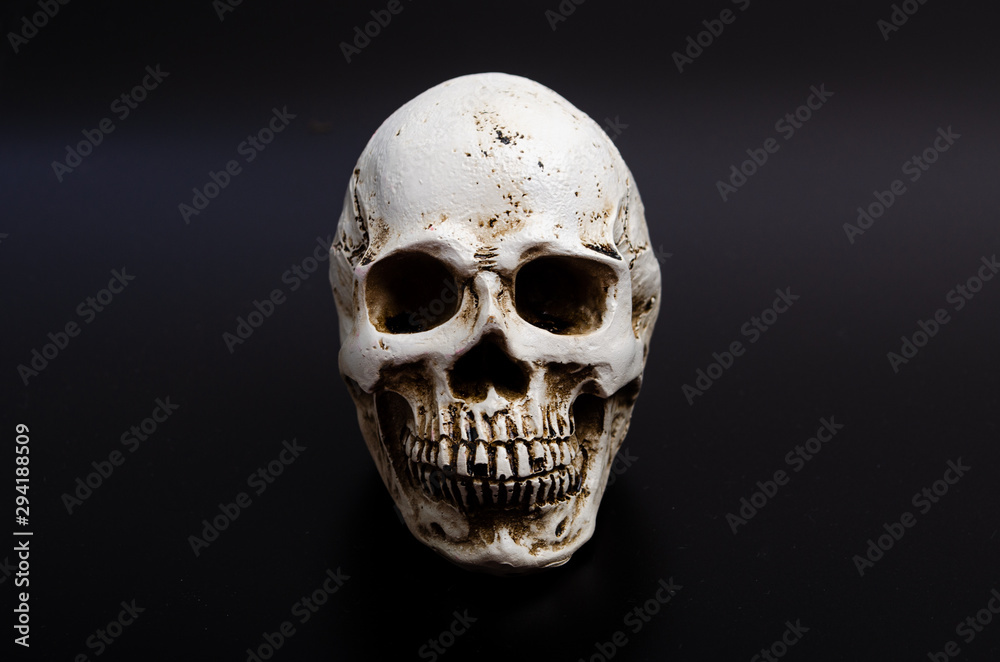 Human skull on black background Human skull on black background