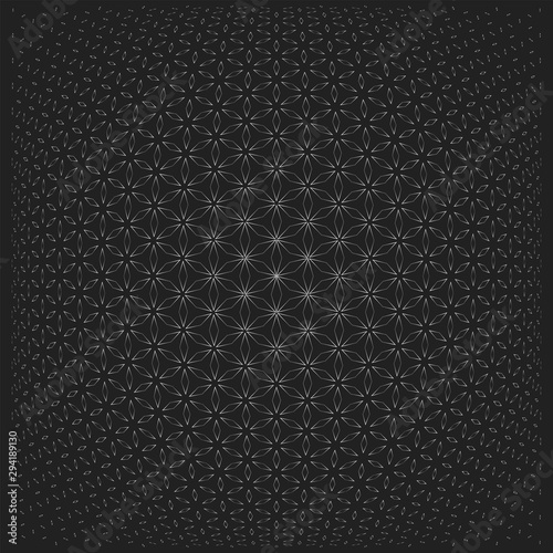 flower of life geometry pattern.
