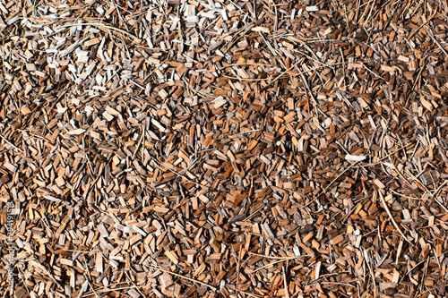Woodchips Wet