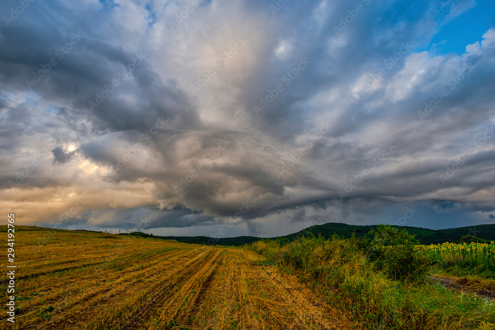 Storm clouds in the summer near sunflowers field Storm clouds in the summer near sunflowers field