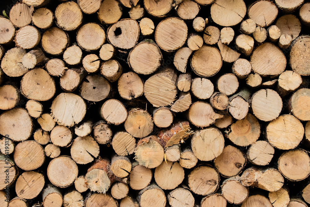 Abstract photo of a pile of natural wooden logs background, top view Abstract photo of a pile of natural wooden logs background, top view