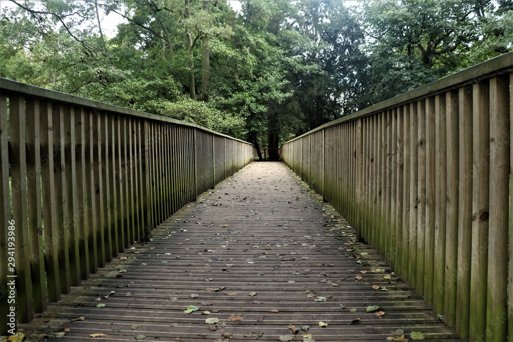 wooden bridge wooden bridge