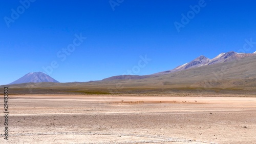 Altiplano et Volcans  Cordill  re des Andes  P  rou
