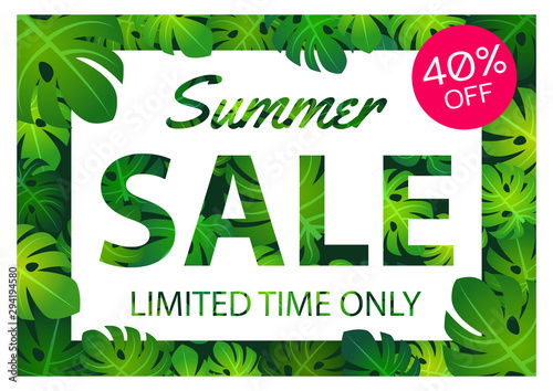 Summer sale offer banner philodendron leaves overlay between white and pink label,modern and fashionable design
