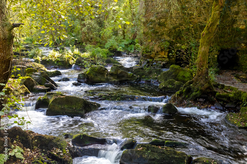 rio sedoso en otoño