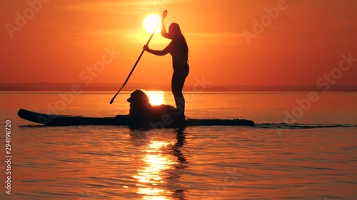 Young woman is paddlesurfing with her dog while the sun is setting photo