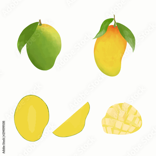watercolor style mango fruit