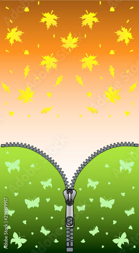 Metaphor of the onset of autumn and the end of summer - the zipper is unfastened and golden autumn leaves appear from under the summer butterflies - vector background.