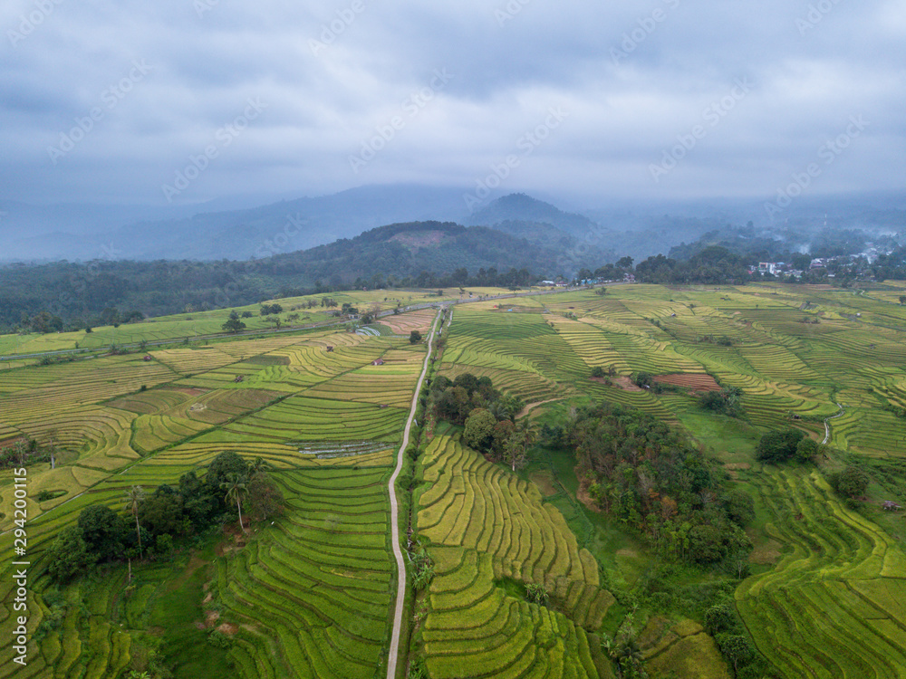 indonesia travel destination, aerial view of earth. amazing paddy fields in indonesia country