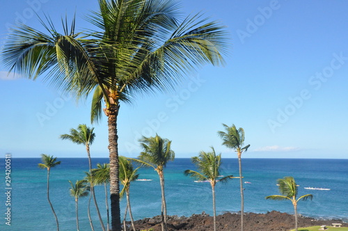 Hawaiian Paradise © Loui