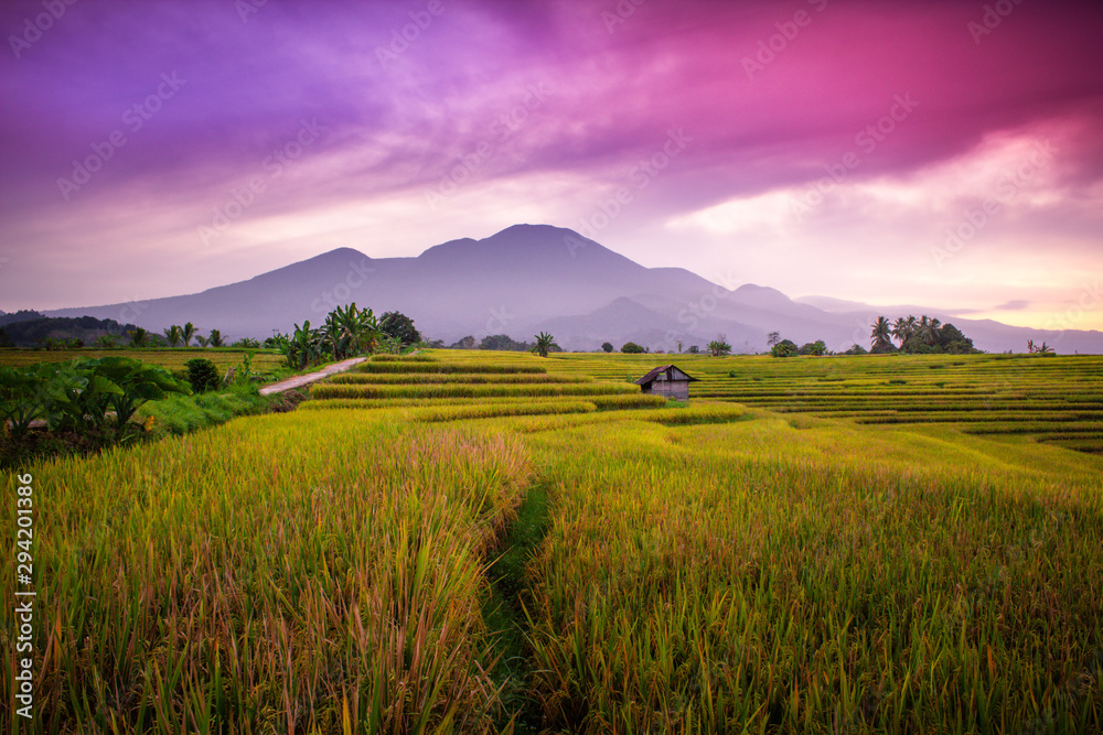 indonesia travel destination, amazing sunrise with beauty color of sky at rice fields