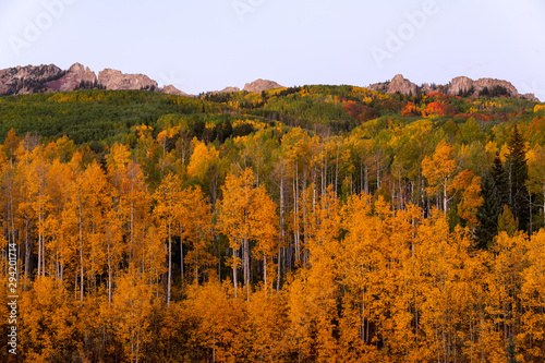 Ruby Ridge Fall Colors