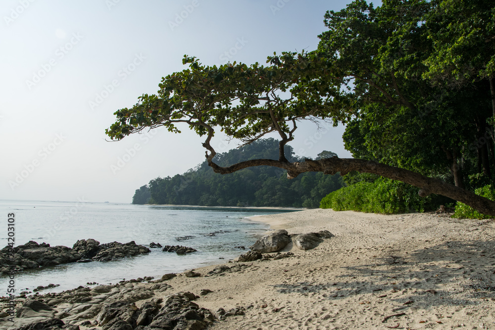 Radhanagar Beach at Havelock Island