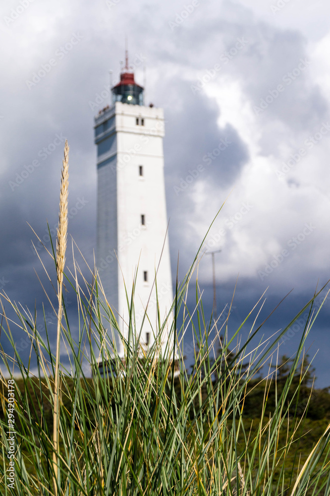 Blavand Stock Photo | Adobe Stock