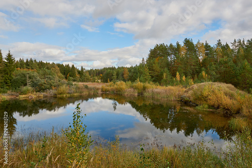 Lake by the forest