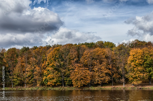 Autumn forest river landscape. Yellow, red and green trees