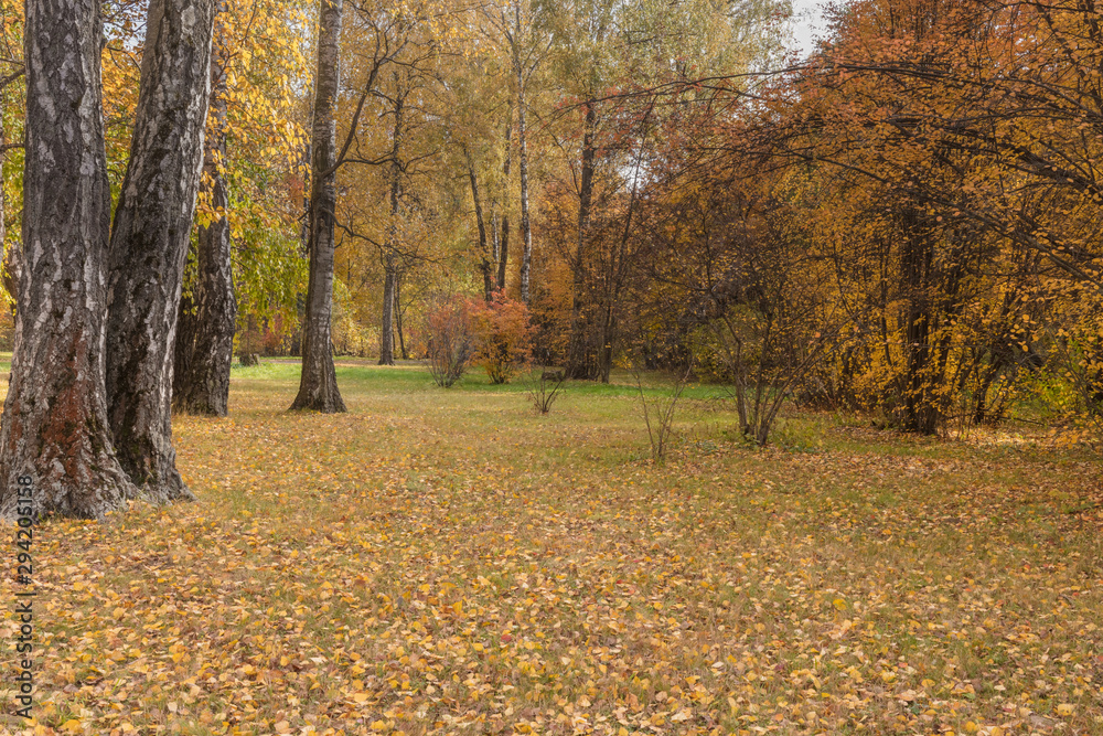 Botanical Garden. Autumn. Colorful leaves. Botanical Garden. Autumn. Colorful leaves.