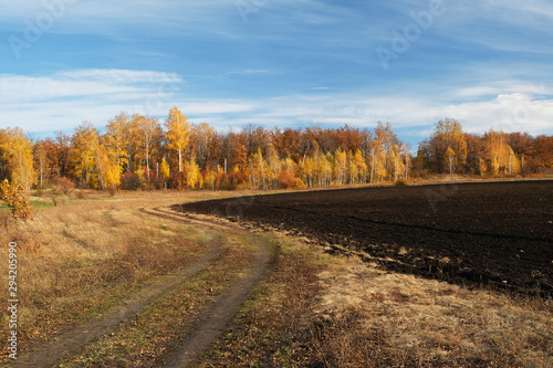 plowed field, autumn meadow and forest