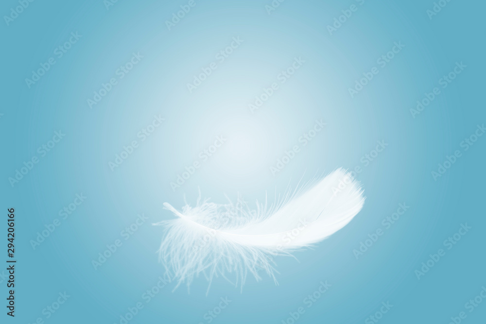 soft single white feather floating in the air soft single white feather floating in the air
