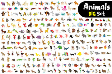 Foto auf Acrylglas Zoo Print  © natchapohn
