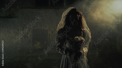 Silhouette of a dead bride in the fog. Horror.