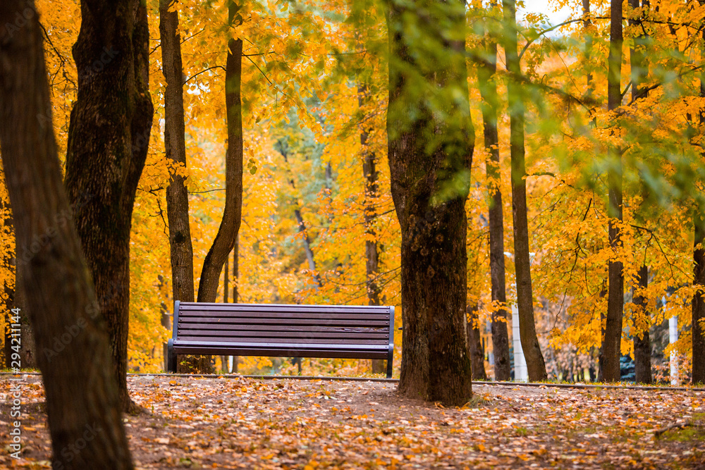 Brown bench in autumn park, selective focus. Leisure time concept. Season change Brown bench in autumn park, selective focus. Leisure time concept. Season change