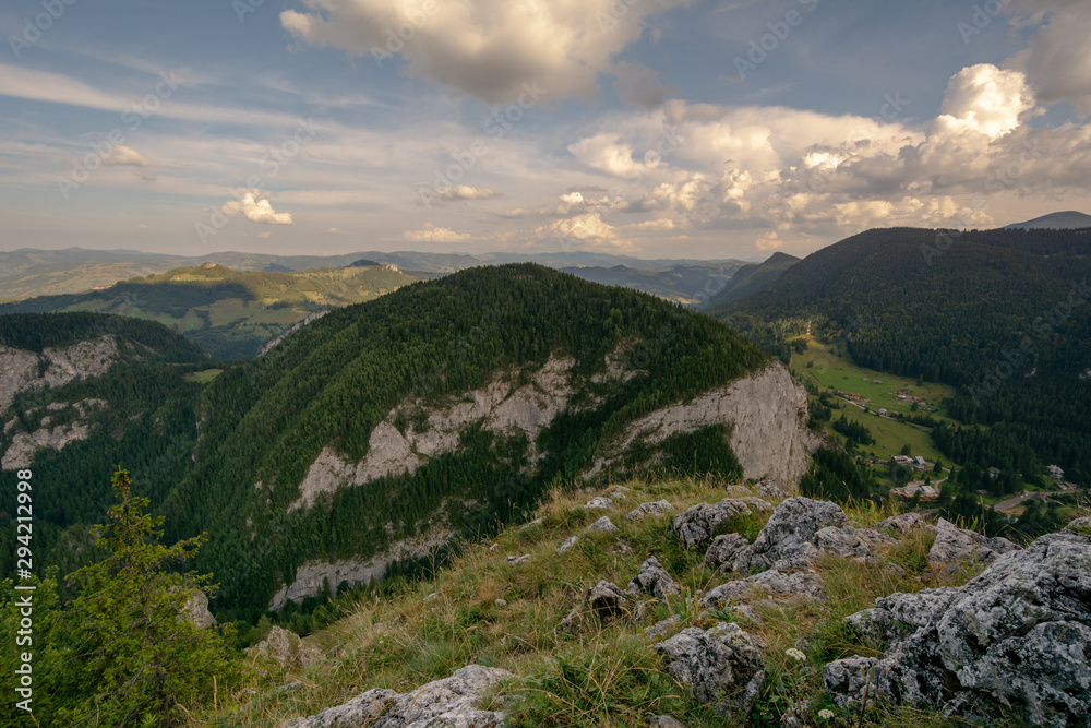 Obraz premium Landscape with forests in the Carpathian Mountains
