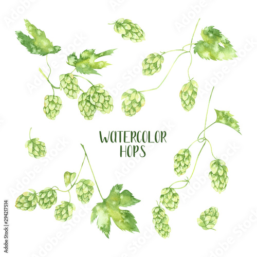 Watercolor set with hops on white background. Hand drawn botanical illustration. Perfect for beer pack, branding design, wrapping paper, logo