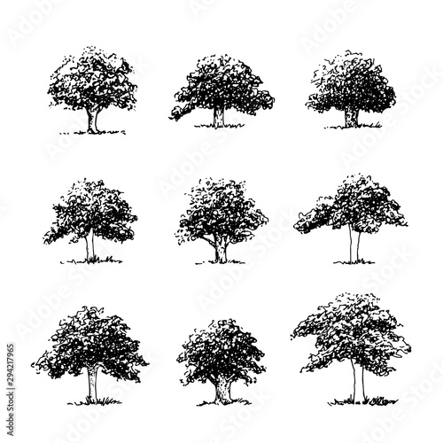 Set of spreading trees  hand drawn contour sketch  vector architect elements