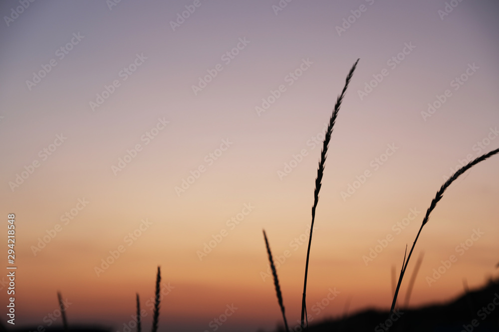 Obraz premium Beautiful view of picturesque sky at sunset