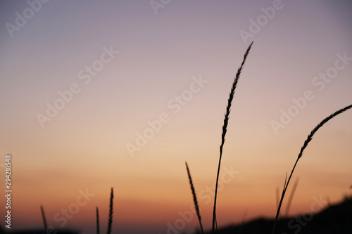 Beautiful view of picturesque sky at sunset