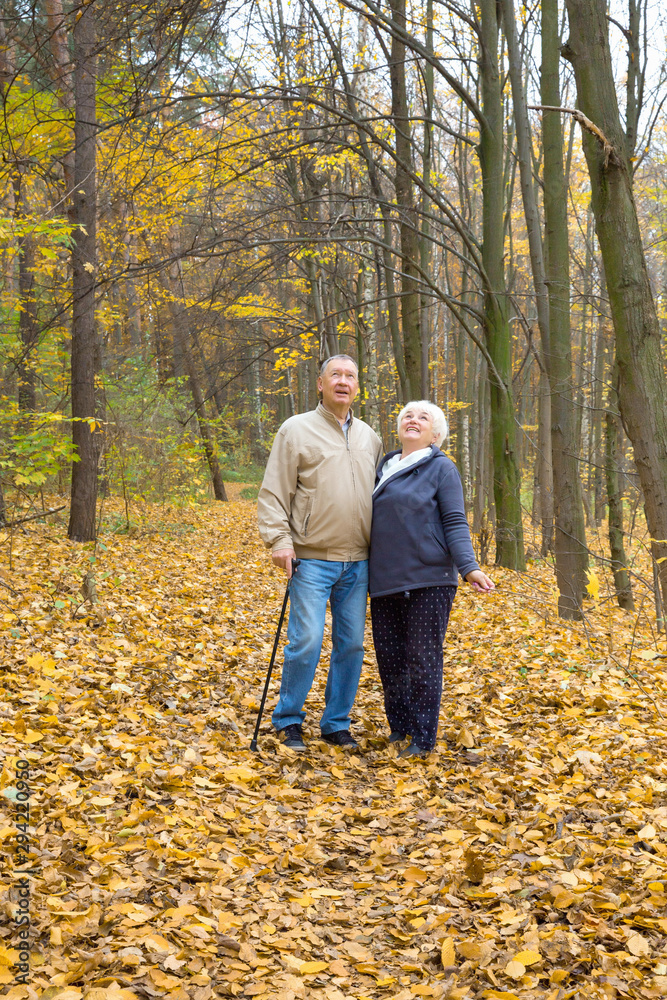 Happy elderly couple walking in an autumn park