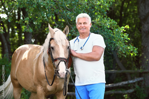 Senior veterinarian with palomino horse outdoors on sunny day