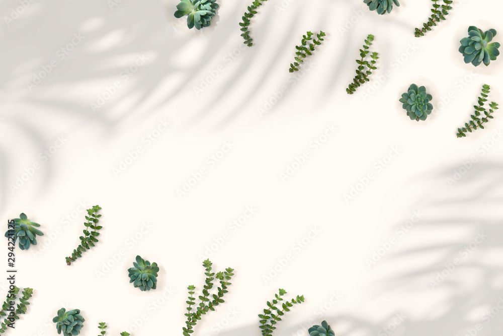 Green blue succulents on a light background with shadows tropical palm leaves with space for text. Top view, flat lay. Creative decoration
