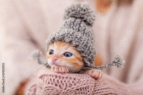 Cute ginger kitten with warm woolen hat prepared for winter