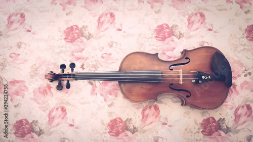 Fotografía Closeup Shot of A Violin on Flowers Background for Background, Backdrop or Wallpaper