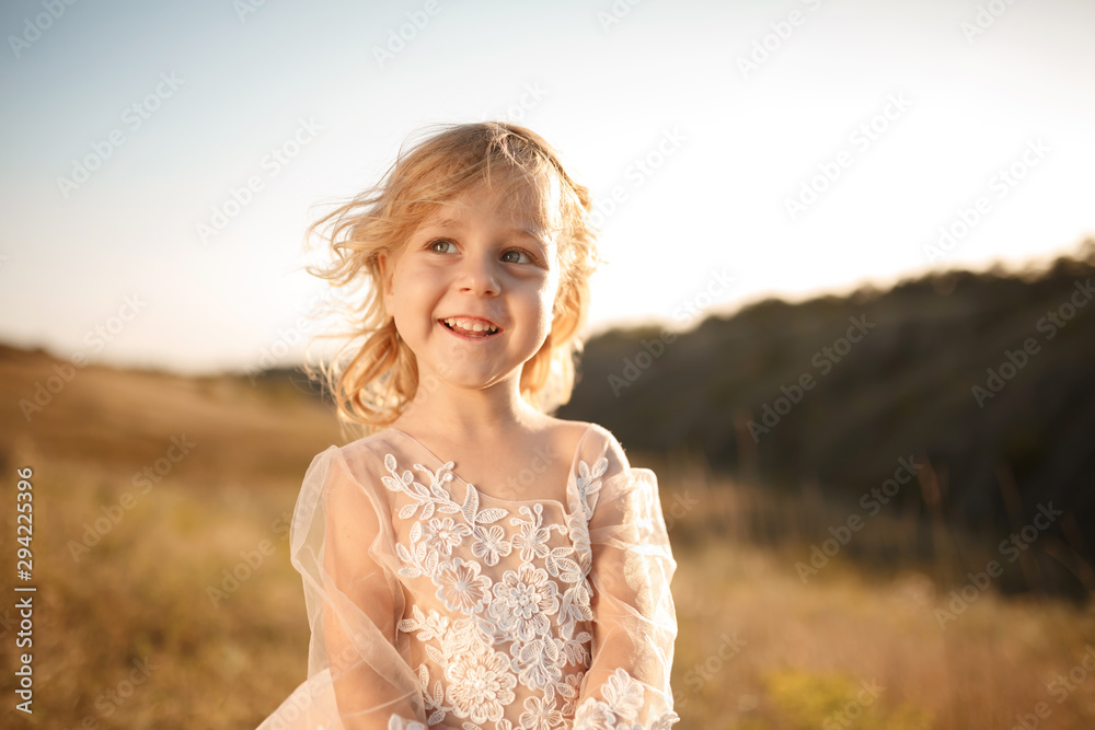 Portrait of a beautiful little princess girl in a pink dress. Posing in a field at sunset Portrait of a beautiful little princess girl in a pink dress. Posing in a field at sunset