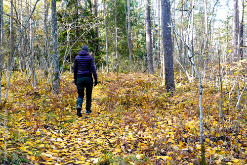 Woman walking in autumn forest. Path covered with yellow leaves. © JRJfin