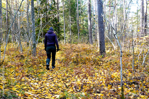 Woman walking in autumn forest. Path covered with yellow leaves.